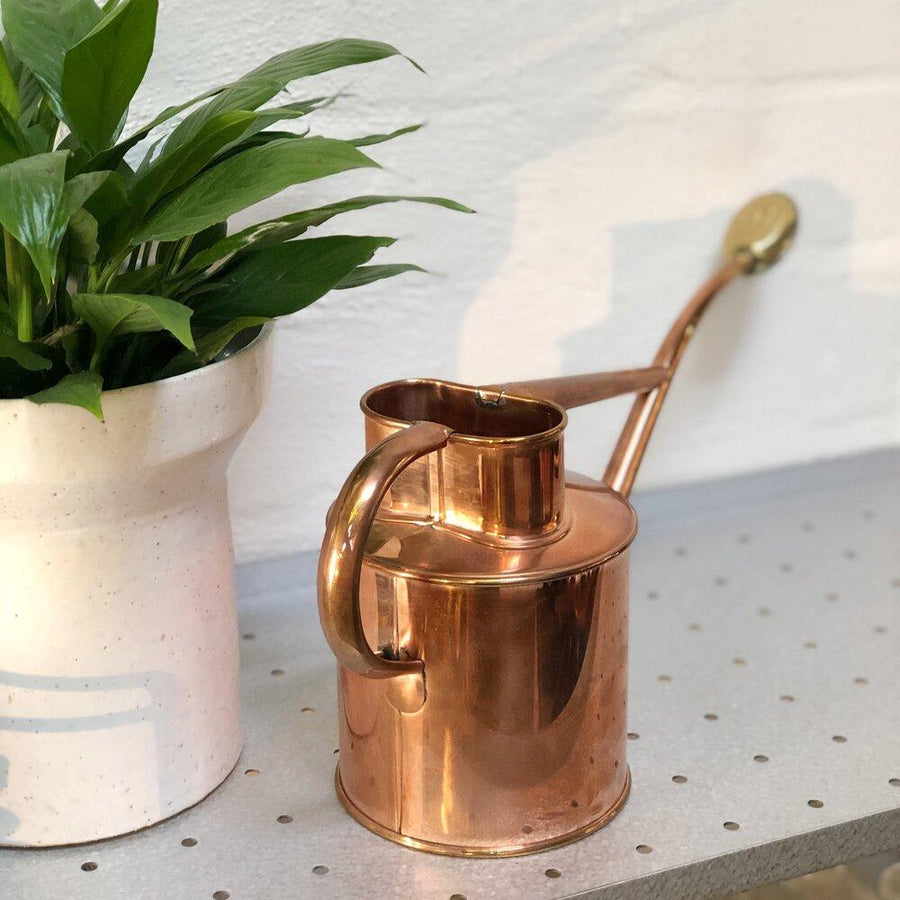Copper Watering Can Haws homewares gardening plant care planter peace lily spathiphyllum