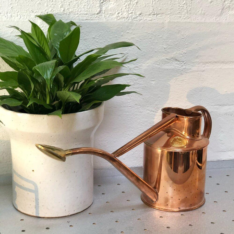 Copper Watering Can Haws homewares gardening plant care planter peace lily spathiphyllum