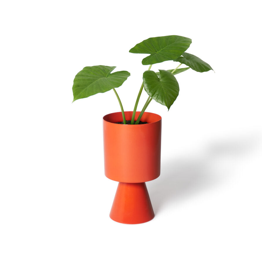 Palm Springs Planter Medium by Lightly パームスプリングス