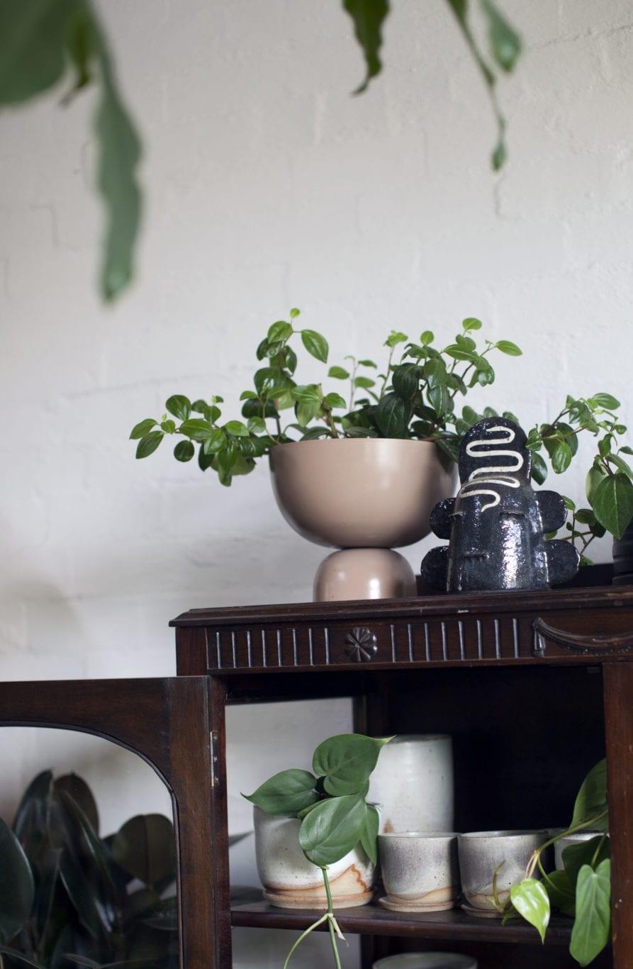 W351 ラリック マルグリット マーガレット 大皿鉢 直径36