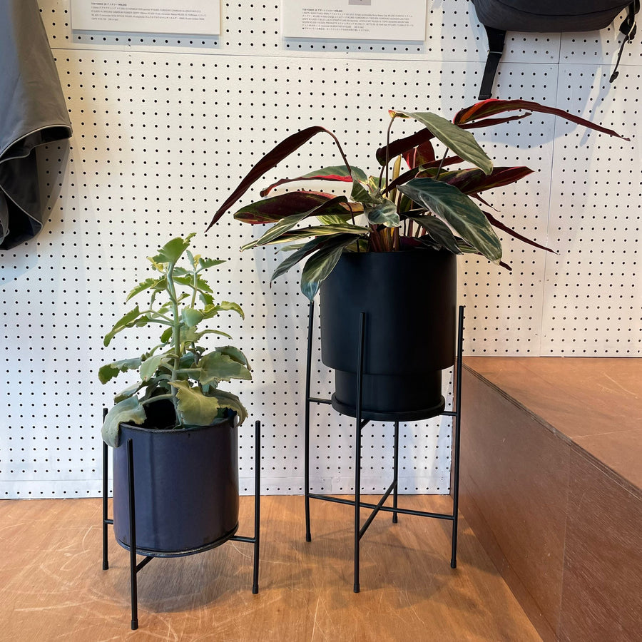 Coogee Plant Stand アイアンプランタースタンド