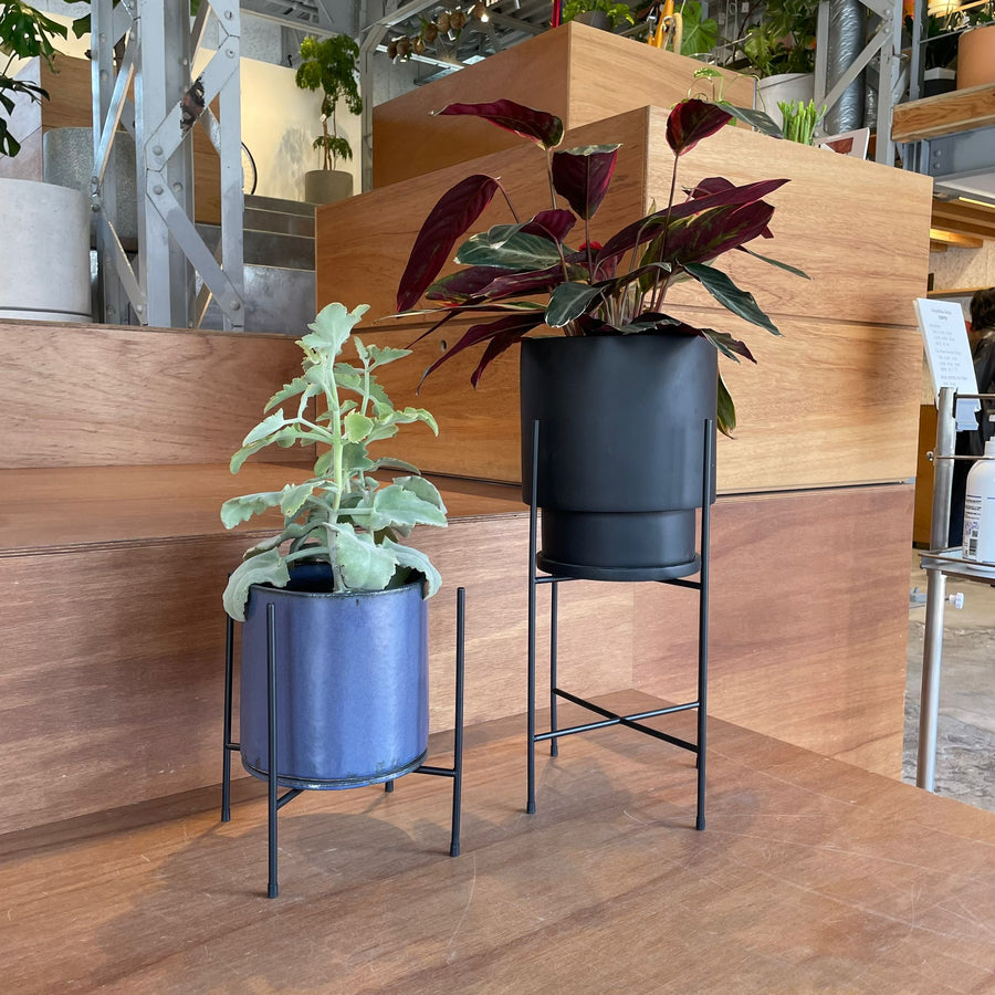 Coogee Plant Stand アイアンプランタースタンド