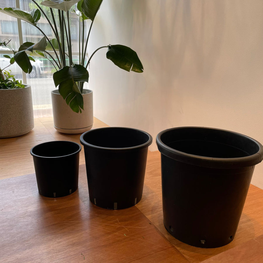 ブラックプラスチックポット