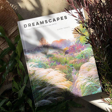 Dreamscapes by Claire Takacs
