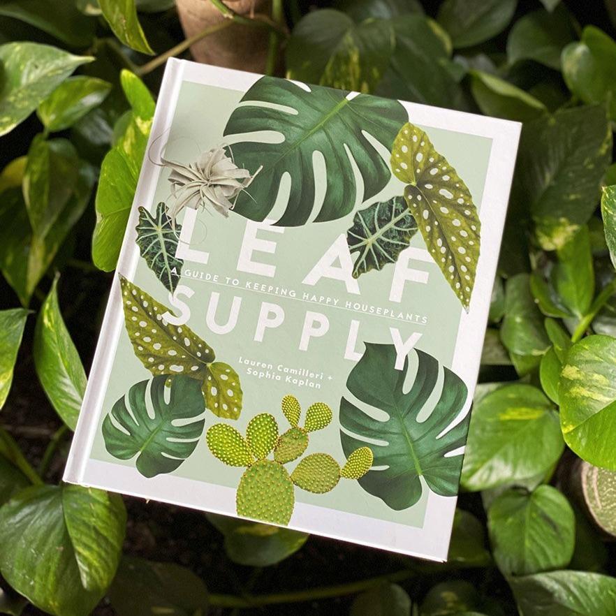 Leaf Supply - A guide to keeping happy houseplants by Lauren Camilleri & Sophia Kaplan - THE PLANT SOCIETY ONLINE OUTPOST
