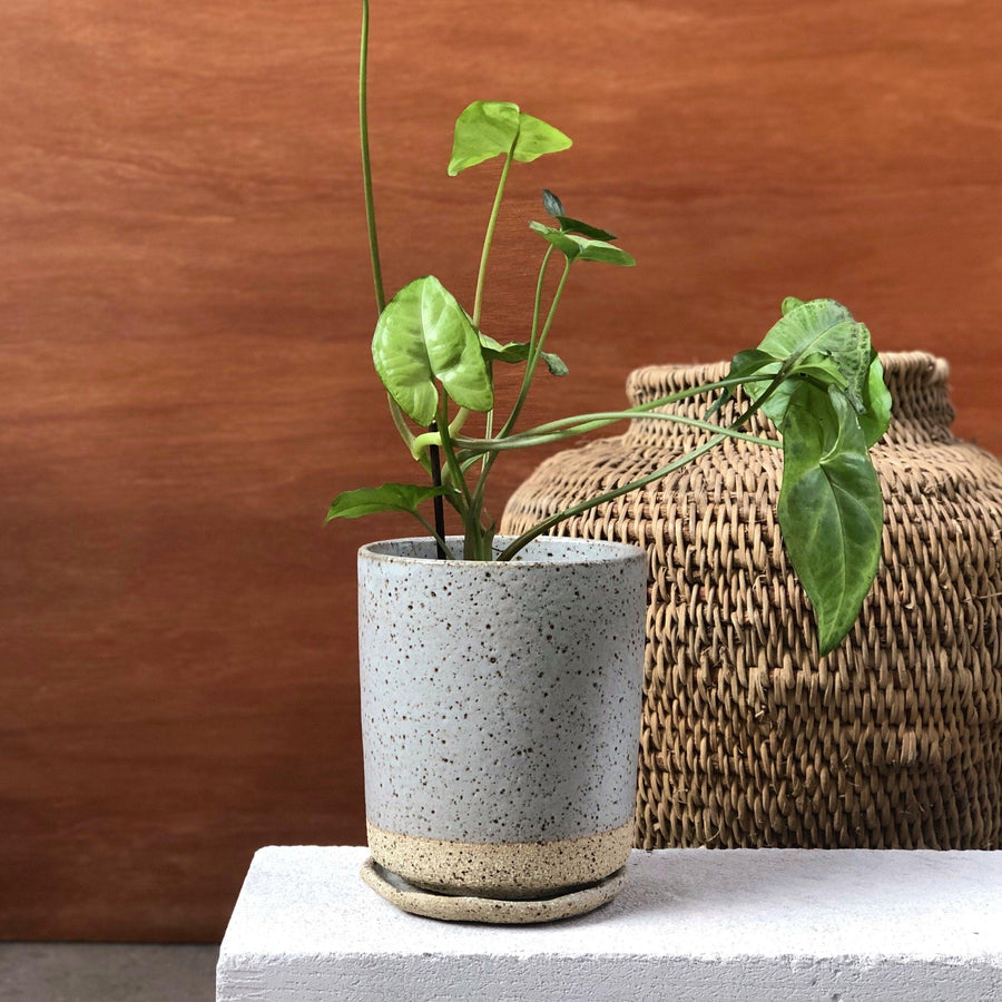 Grey Tall Planter by Lisa Peri