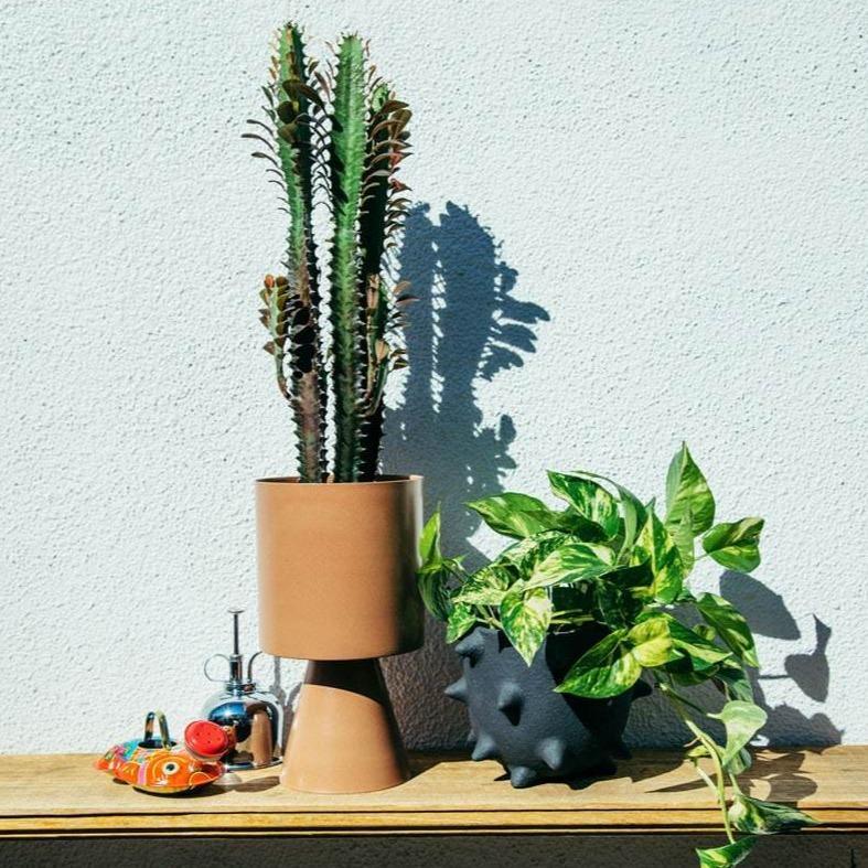 Medium Palm Springs in Burnt Sienna by Lightly Design