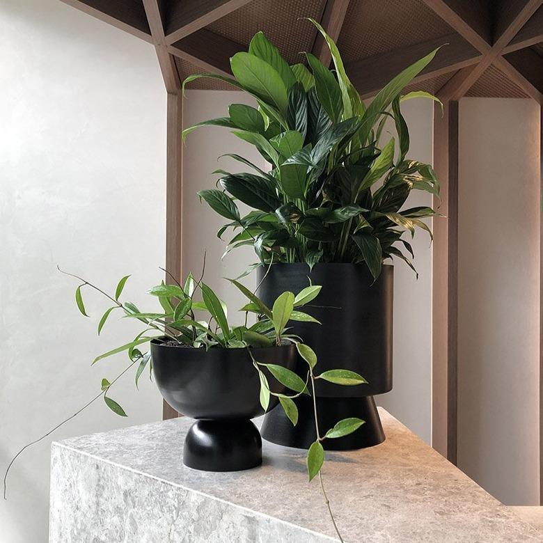 Large Palm Springs Planter with Large Black Goblet by Lightly Design