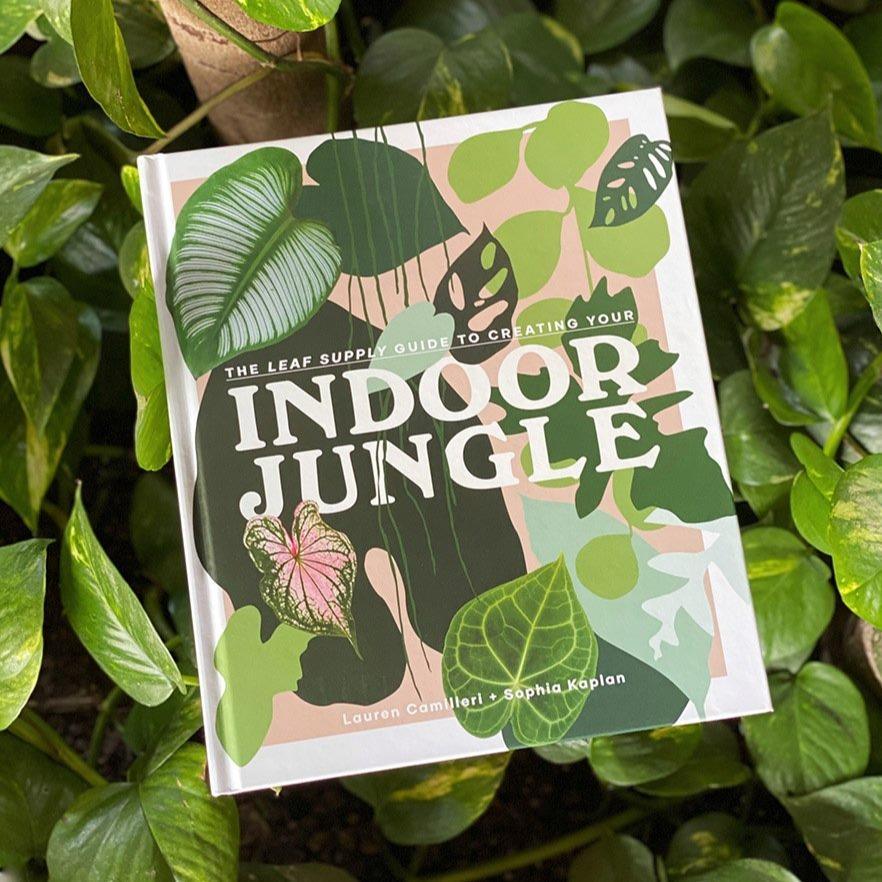 The Leaf Supply Guide to Creating your Indoor Jungle by Lauren Camilleri & Sophia Kaplan - THE PLANT SOCIETY ONLINE OUTPOST