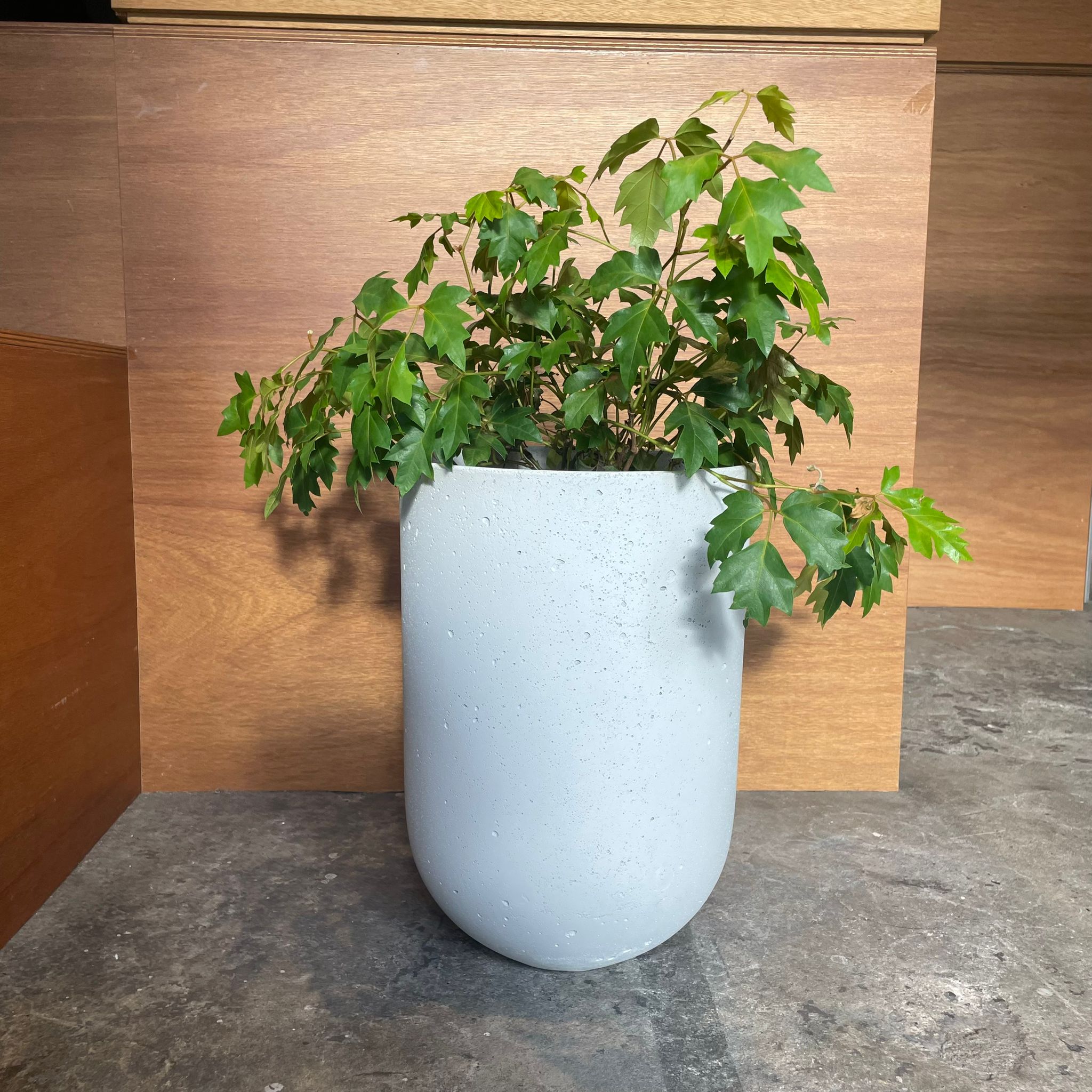 たためる布製プランター 5L 3枚セット 6号 | Vigoroot Pots 5L