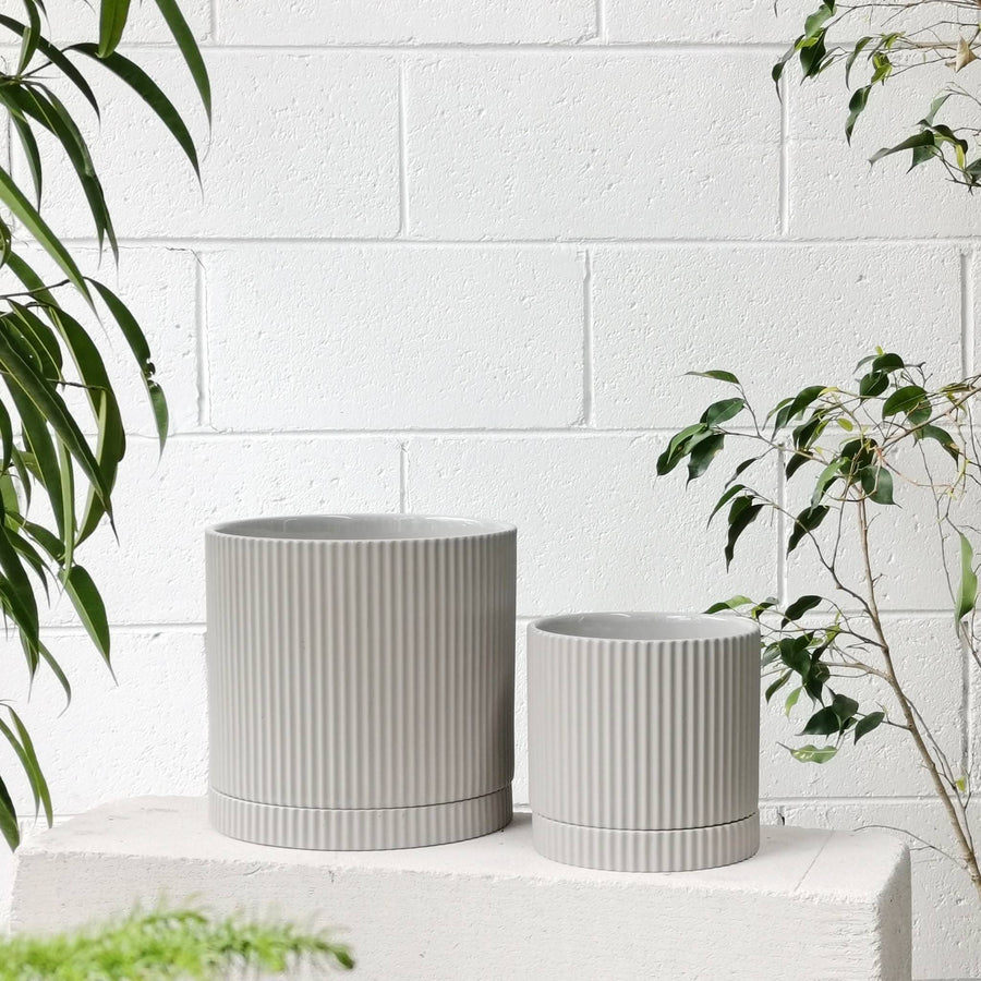 Eyre Planter by The Plant Society エアープランター