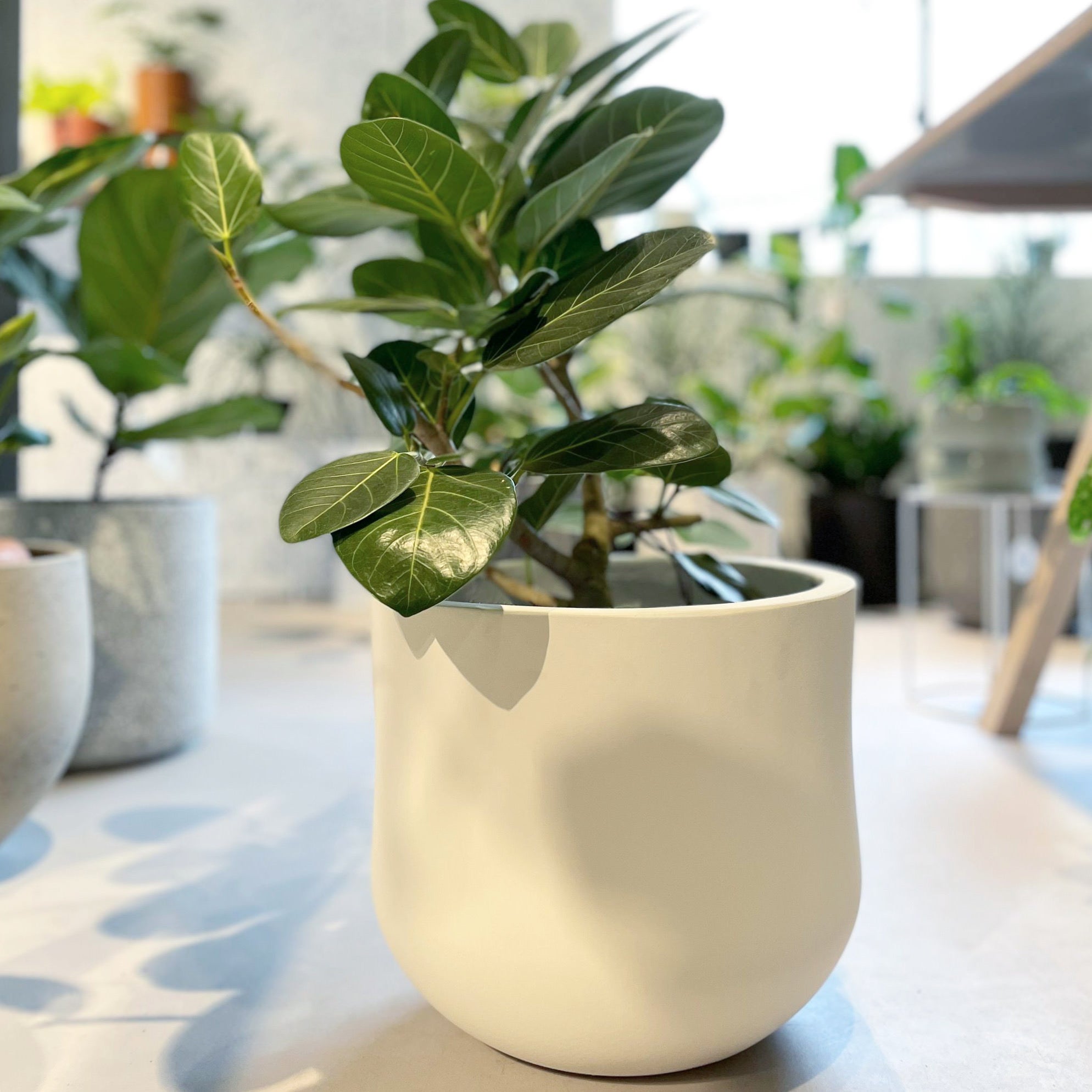 フィンチプランター I 大きな植木鉢 I プラントソサエティトーキョー
