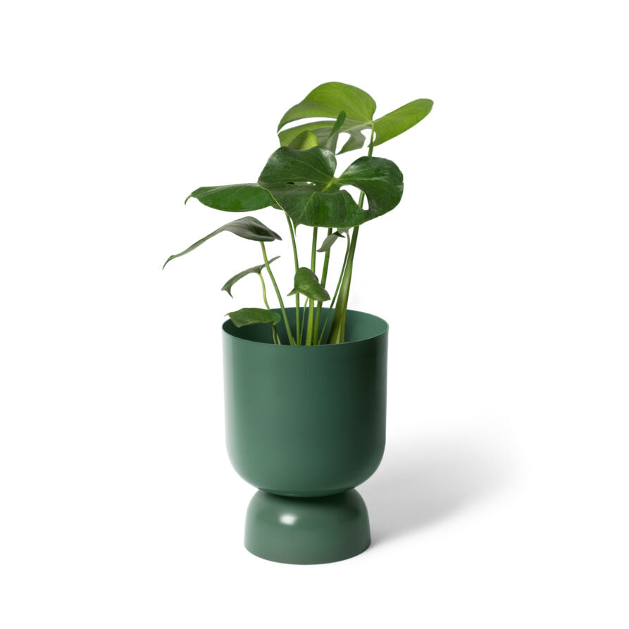 PLANTERS 植木鉢 I 植物 植木鉢 園芸用品 I プラントソサエティ