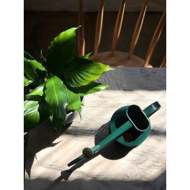 haws green watering can with piece lilly