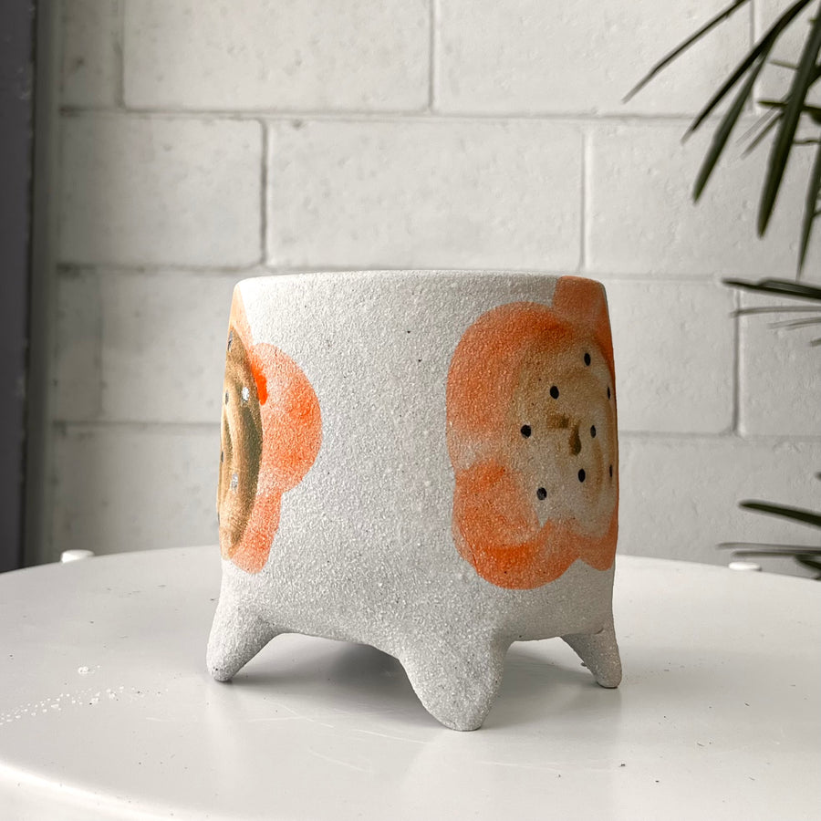 プランター by Bridget Bodenham
