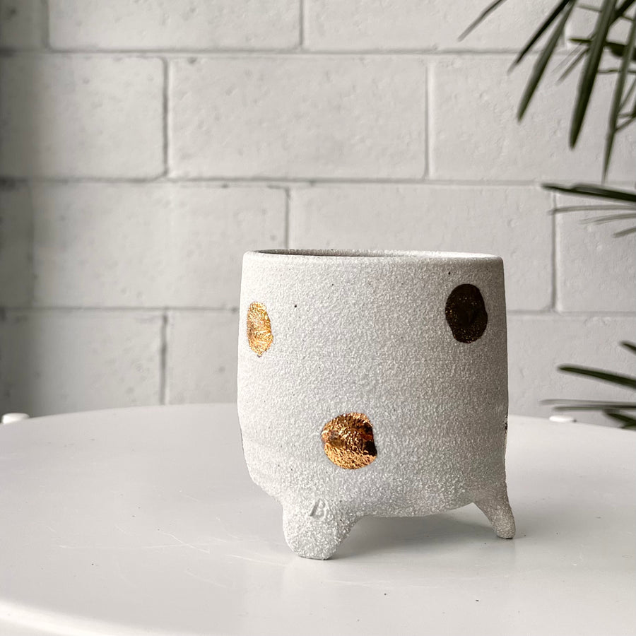 プランター by Bridget Bodenham