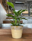 Yellow Bamboo Sea glass Basket バンブー×シーグラスバスケット(イエロー)