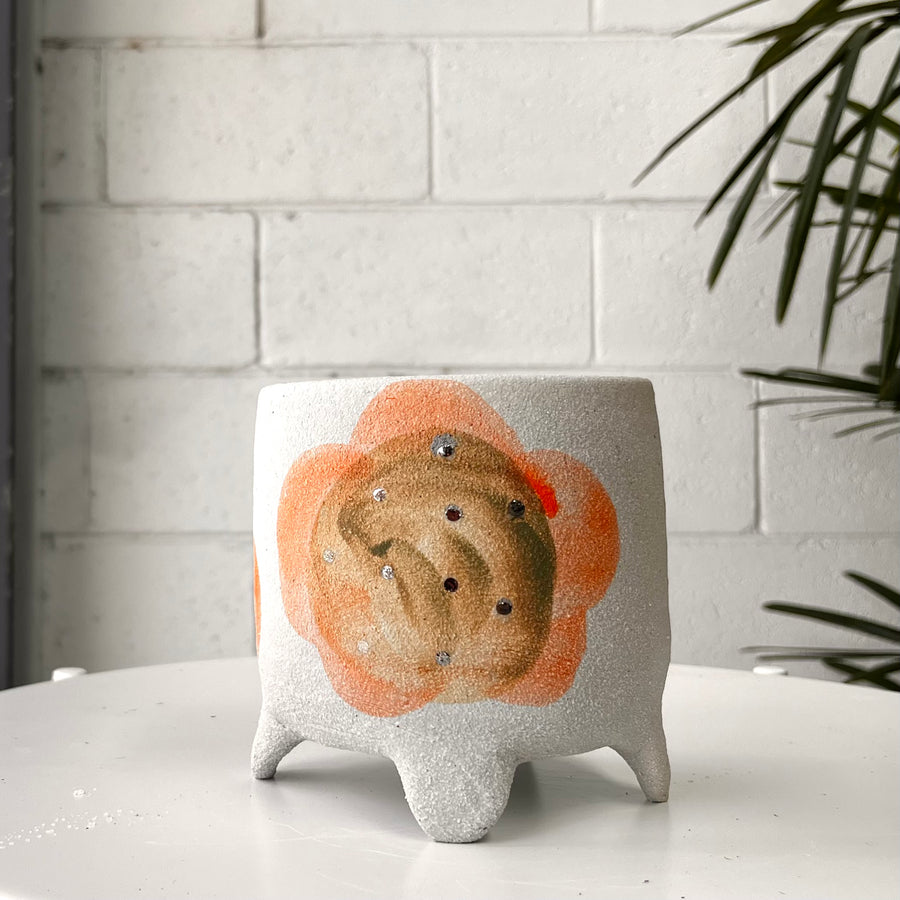 プランター by Bridget Bodenham