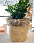 Yellow Bamboo Sea glass Basket バンブー×シーグラスバスケット(イエロー)