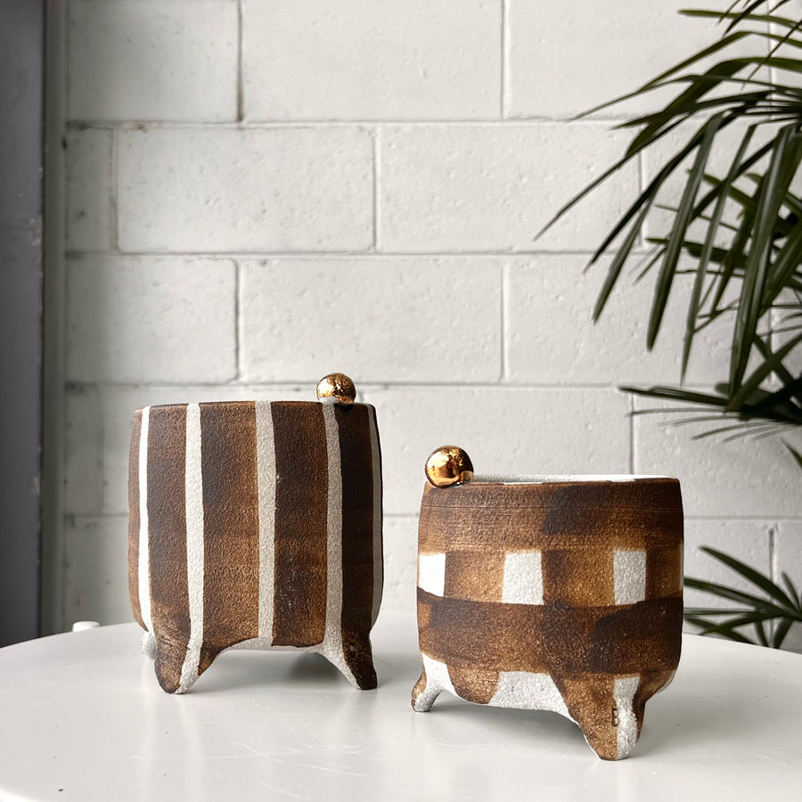 プランター by Bridget Bodenham