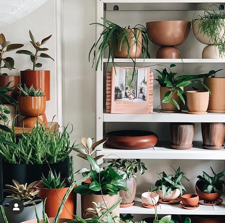 Handmade Planters featuring metal planters in our Paddington Outpost. Indoor Plants and House Plants in Sydney.