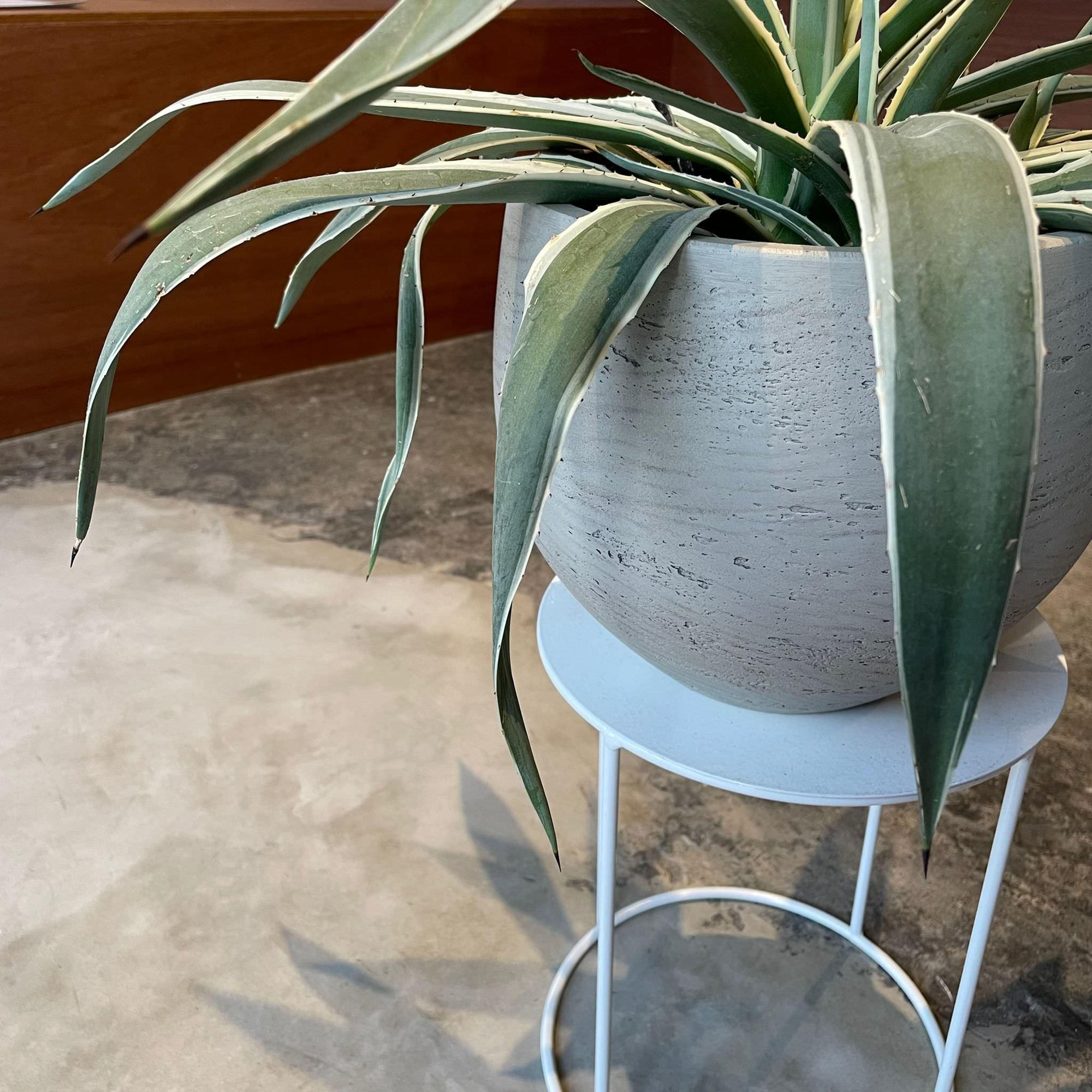 Round Planter ラウンドプランター