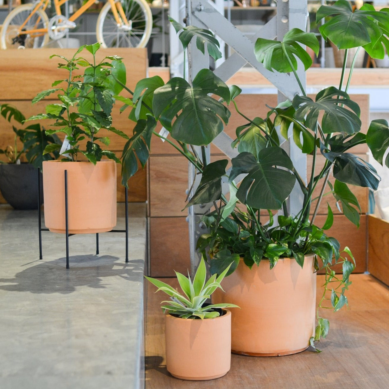 Terracotta Cylinder Planter テラコッタシリンダープランター