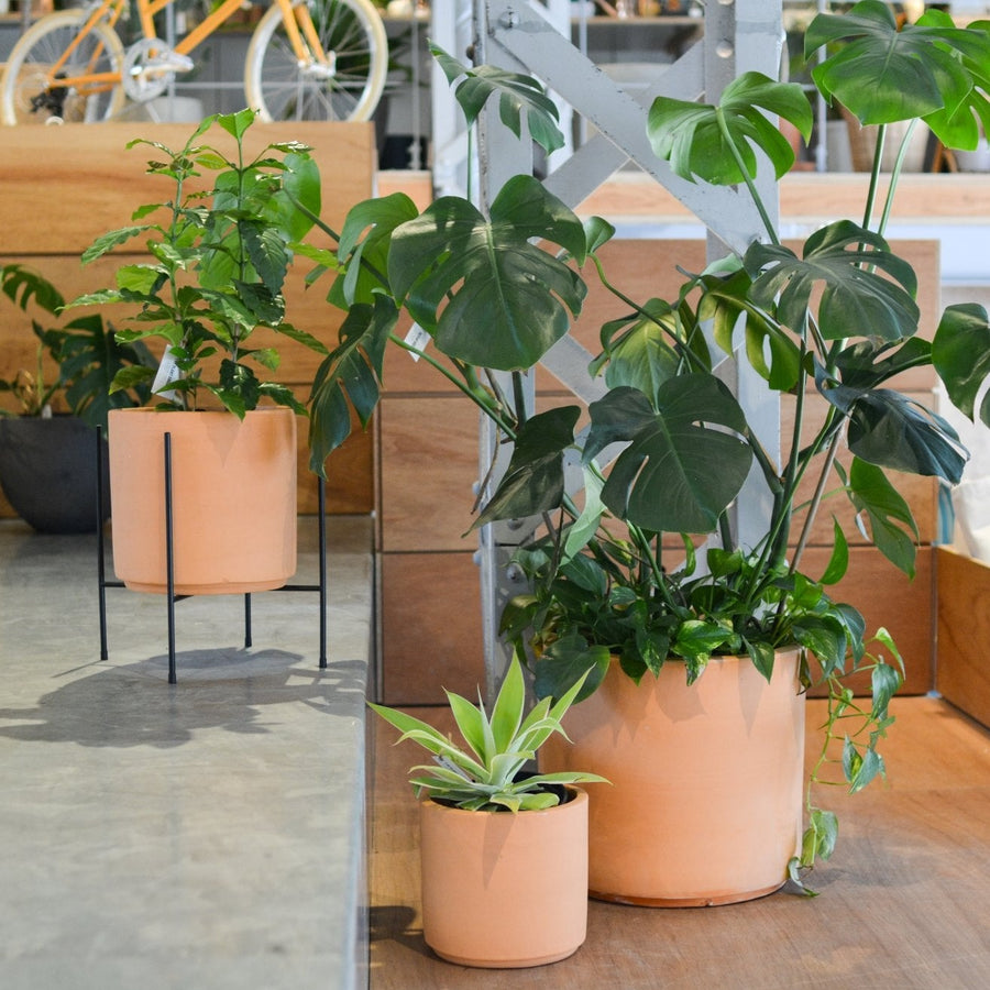 テラコッタ シリンダー 40㎝ 植木鉢 ブルックリン