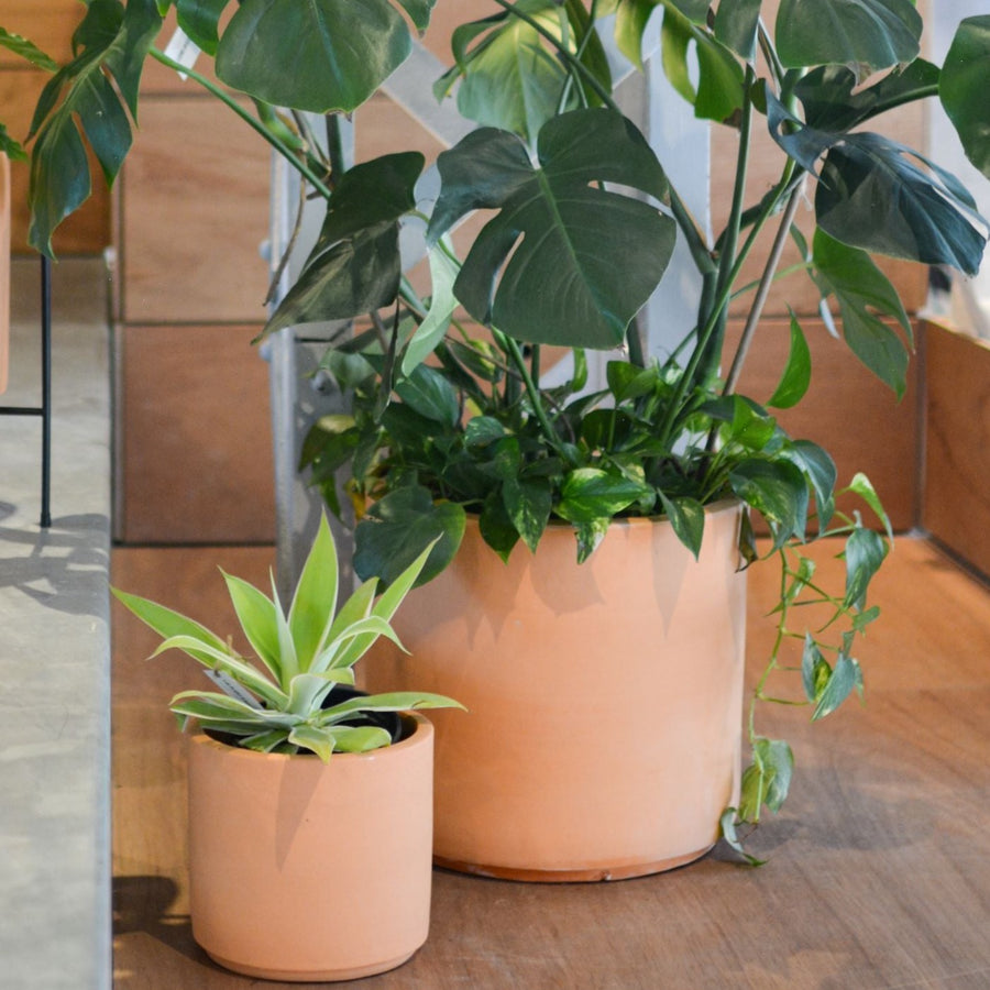 テラコッタ シリンダー 40㎝ 植木鉢 ブルックリン